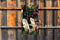 Customize-it - Witte stoelen 70x130cm Tuinschilderij