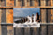 Customize-it - Zee storm 70x50cm Tuinschilderij
