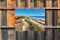 Customize-it - Zeegras 70x50cm Tuinschilderij