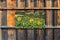 Customize-it - Zonnebloemen 130x70cm Tuinschilderij
