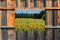 Customize-it - Zonnebloemen Frankrijk 70x50cm Tuinschilderij