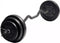 Iron Gym - 23kg Verstelbare Curl Bar Set - Ergonomisch design (1 set)