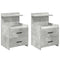 Nachtkastjes 2 st met 2 lades 40x36,5x62 cm betongrijs