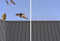 Hortensus - Vogelwering set - 5 meter afschrikking voor vogels en katten - Wit (2 sets)
