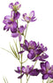J-Line bloem Delphinium 2 Delig - kunststof - donkerpaars - 12 stuks