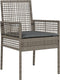vidaXL - Ligzetels - 2 - stuks - met - Kussens - Grijs - Poly - Rattan