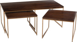 J-Line Salontafel Rafi 3Delig Ijzer/hout - goud/donkerbruin