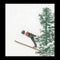 Thea Gouverneur - Borduurpakket met telpatroon - 3039A - Voorgesorteerde DMC Garens - Skiën - Aida - 16 cm x 17 cm - DIY Kit