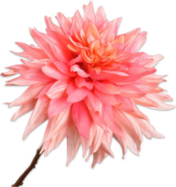 Silk-ka Kunstbloem-Zijden Bloem-Kunsttak Dahlia Steel Roze-Wit 65 cm