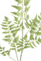 PTMD Fern Plant Varen Kunsttak - 60 x 30 x 111 cm - Lichtgroen