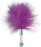 Feather Tickler S Pleasures Tickler Roze