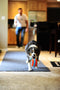 Chuckit! Indoor Roller - Hondenspeelgoed - Hondenspeeltje - Schuimrubber/Chenille - Ø12 cm - Blauw/Oranje