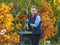 Bosch AXT 25 D - Hakselaar - 2500 W - 53 L opvangbak - max. 40 mm takken