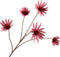 Silk-ka Kunstbloem-Zijde Bloem Rudbeckia Tak Roze 82 cm