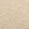 vidaXL - Vloerkleed - kortpolig - 200x290 - cm - beige