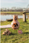 RedFire – Cancun – Bruin - Kleihaard – Terrashaard – Fireplace – Stevig - Terrasverwarming – Sfeerhaard