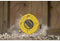 STANLEY Landmeter Fiberglas 20m - 12.7mm - Schokvast - Wit