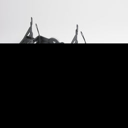 Kaldewei 5030 - Badondersteuning - Verstelbaar in hoogte en breedte - Zilver