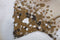 Schilderij Home ESPRIT Rozen Romantiek 120 x 3,7 x 80 cm (2 Stuks)