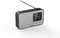 Panasonic RF-D15 - Portable Radio DAB/DAB+ FM - Verbeterde geluidskwaliteit - Zilver Zwart