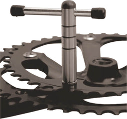 Cyclus Bladbout Sleutel