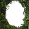 Cypress krans d40h12 cm groen