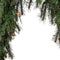 Cypress slinger d20l165h10 cm groen