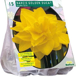 Narcissenbol - Golden Ducat - Dubbel - Geel - 1x15 stuks