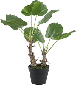 PTMD Philodendron Kunstplant - H75 x Ø60 cm - Plastic pot - Groen