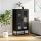 vidaXL - Hoge - kast - 68x39x123 - cm - staal - zwart