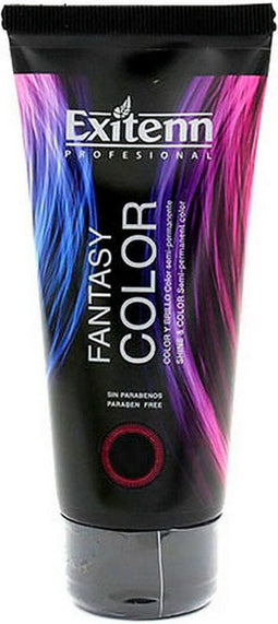Permanente Kleur Fantasy Exitenn Zwart (100 ml)