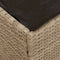 vidaXL - Kussenbox - Beige - 50x50x50 - cm - Poly - Rattan