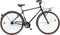 Dino Aurelia Herenfiets - Transportfiets voor Heren - 28 Inch 49 cm - V-Brakes - Donkergrijs