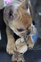 D&d Home - Speelgoed Voor Dieren - Hond - Koffiehout Kauwstok & Jute Touw S - 3,5x4x20cm Bruin - 1st