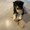 D&d Home - Speelgoed Voor Dieren - Hond - Koffiehout Kauwstok & Jute Touw L - 5,5x10x35cm Bruin - 1st