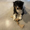 D&d Home - Speelgoed Voor Dieren - Hond - Koffiehout Kauwstok & Jute Touw S - 3,5x4x20cm Bruin - 1st