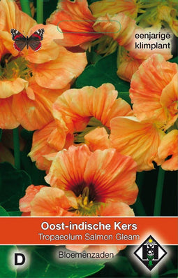 2 stuks - Van hemert co - Tropaeolum majus Salmon Gleam