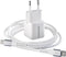 Intenso W30C - GaN Voedingsadapter 30W + C315L Lightning Kabel - Snelladen PD 3.0