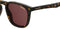 CARRERA 143/S - Zonnebril - Copper lenzen - Bruin