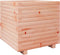 vidaXL - Plantenbak - 50x50x49,5 - cm - massief - douglashout