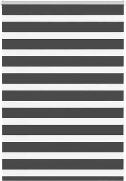 vidaXL - Zebra - rolgordijn - 100x100 - cm - stofbreedte - 95,9 - cm - zwart