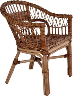 vidaXL - Tuinstoel - natuurlijk - rattan - bruin