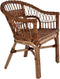 vidaXL - Tuinstoel - natuurlijk - rattan - bruin