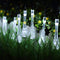 Duurzame Solar LED Waterdruppel Lichtsnoer - 20 Lampjes, Waterdicht, Ideaal voor Feestdagen en Tuindecoratie