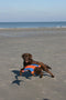 Chuckit! Flying Squirrel - Hondenspeelgoed - Hondenspeeltje - Frisbee - Drijvend - Ø35 cm - Blauw/Oranje