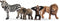 schleich WILD LIFE - Starterset Wild Life - Speelfiguur - Kinderspeelgoed voor Jongens en Meisjes - 3 tot 8 jaar