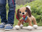 Peppy Pups Bruine honde - Mijn hond Peppy