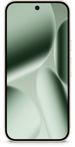 Google Pixel 10 Pro - Smartphone - 256GB opslag 16GB RAM - Groen