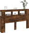 Hoofdeinde met LED 160x18,5x103,5 cm bewerkt hout gerookt eiken