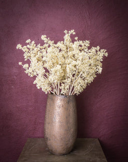 PTMD Twig Plant Knop Kunsttak - 43 x 16 x 83 cm - Crème